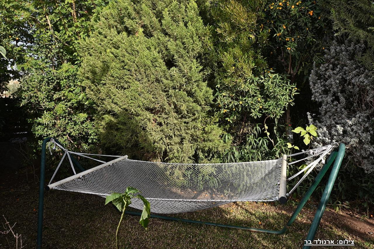 Maya Cabin Ramot Luaran gambar
